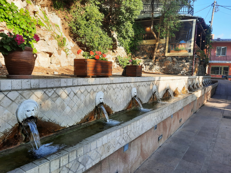 Fontana dei leoni