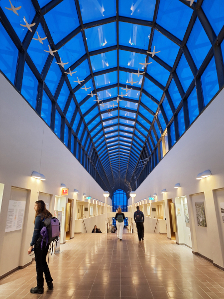 Arktikum